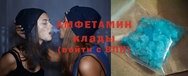 гашик Ельня