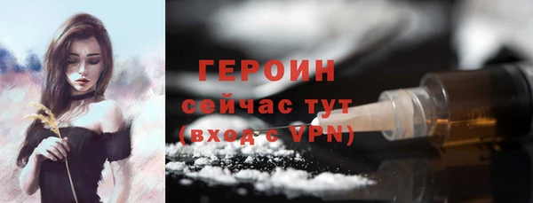 гашик Ельня
