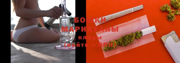 гашик Ельня