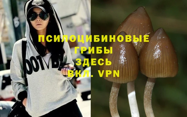 тгк Заволжье